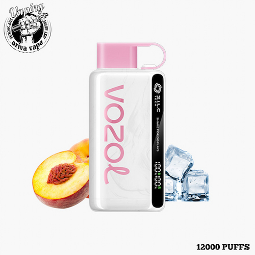  پاد وزول 12000 پاف اورجینال با بهترین قیمت، VOZOL 12000PUFFS DISPOSABLE POD 